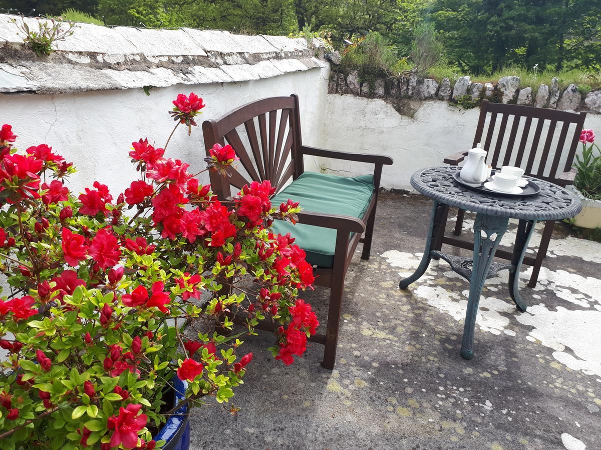 Score Valley Country House Ilfracombe Bagian luar foto