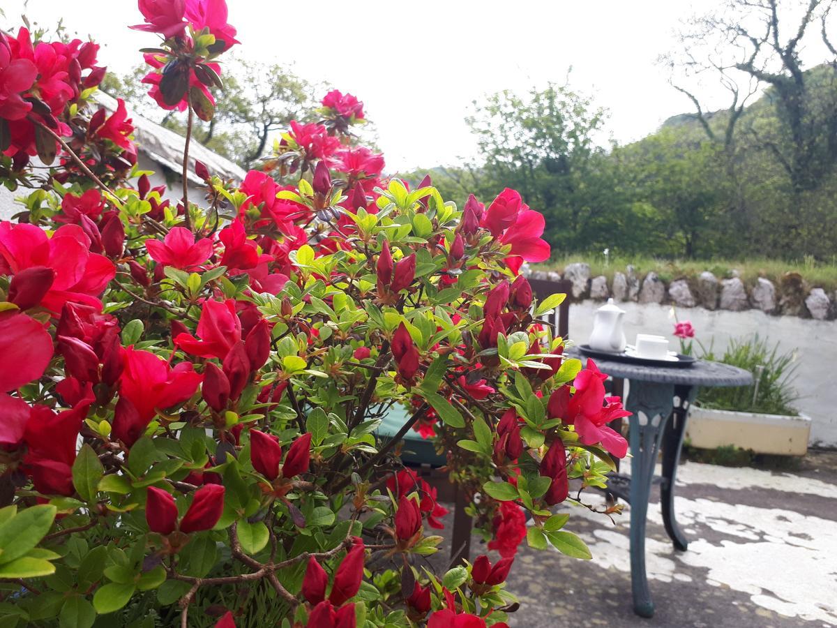 Score Valley Country House Ilfracombe Bagian luar foto